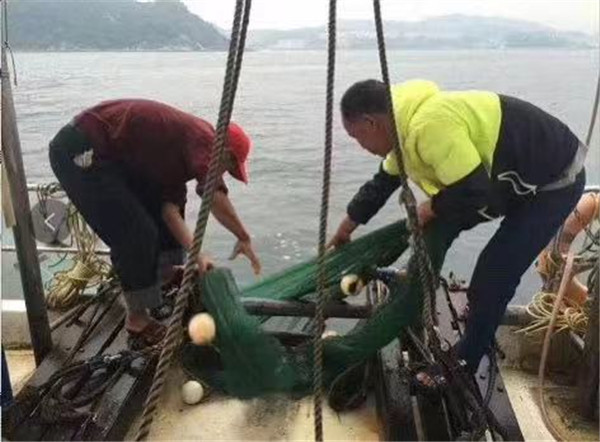 大澳湾经济游艇捕鱼 大澳湾经济游艇捕鱼