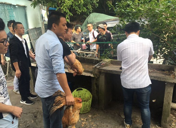 深圳核桃村智能科技公司户外团建南澳杨梅坑农家乐活动之旅